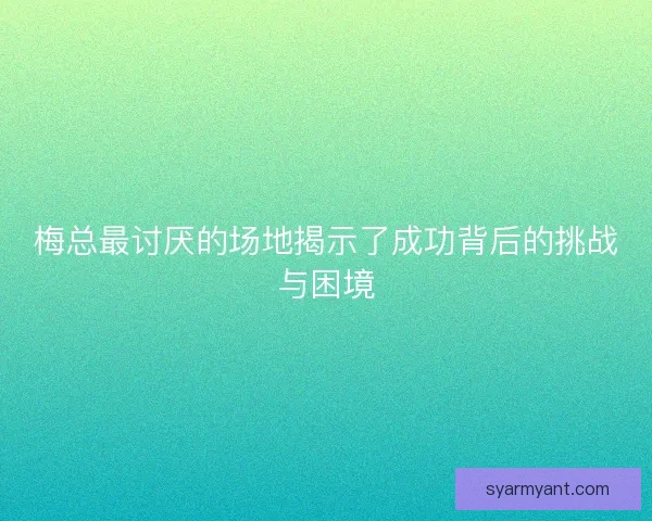 梅总最讨厌的场地揭示了成功背后的挑战与困境