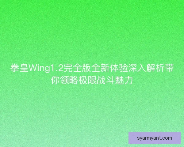 拳皇Wing1.2完全版全新体验深入解析带你领略极限战斗魅力