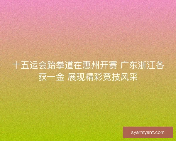 十五运会跆拳道在惠州开赛 广东浙江各获一金 展现精彩竞技风采