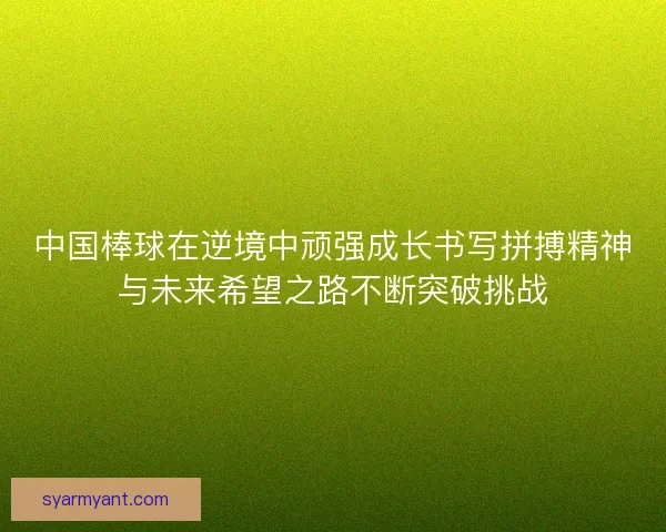 中国棒球在逆境中顽强成长书写拼搏精神与未来希望之路不断突破挑战